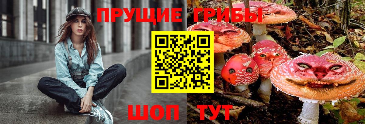 Псилоцибиновые грибы мухоморы Назрань