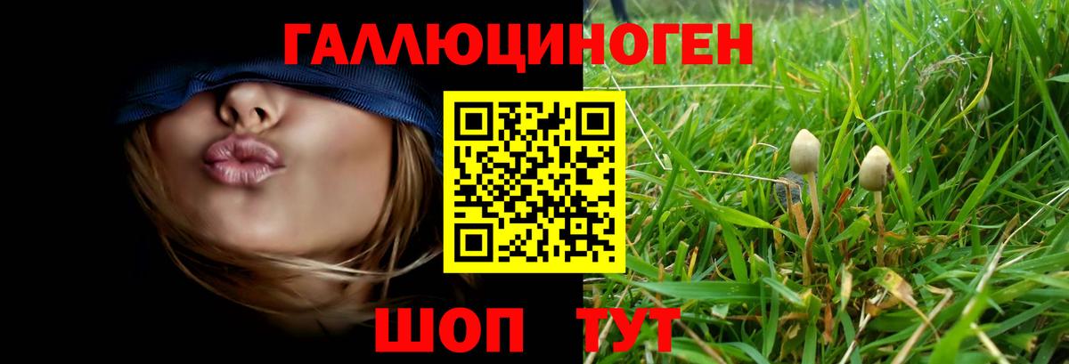 Псилоцибиновые грибы Psilocybe  Псилоцибиновые грибы Cubensis  Назрань  Вход с VPN 